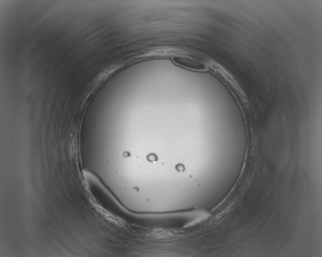 X0000083531049200702240013