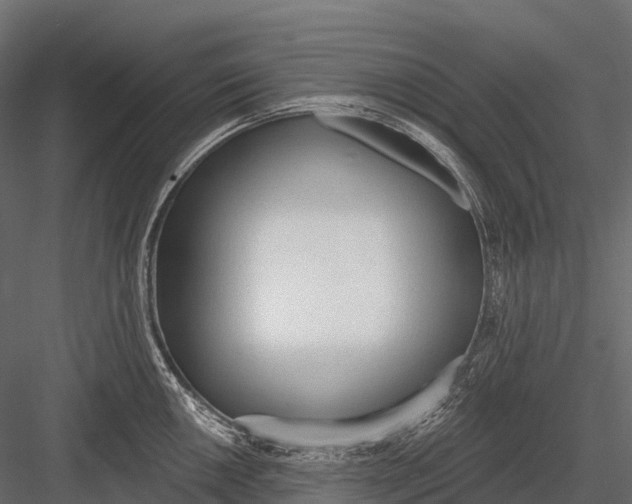 X0000083531050200702240013