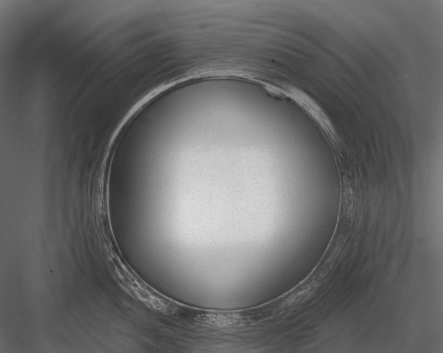 X0000083531052200702240013