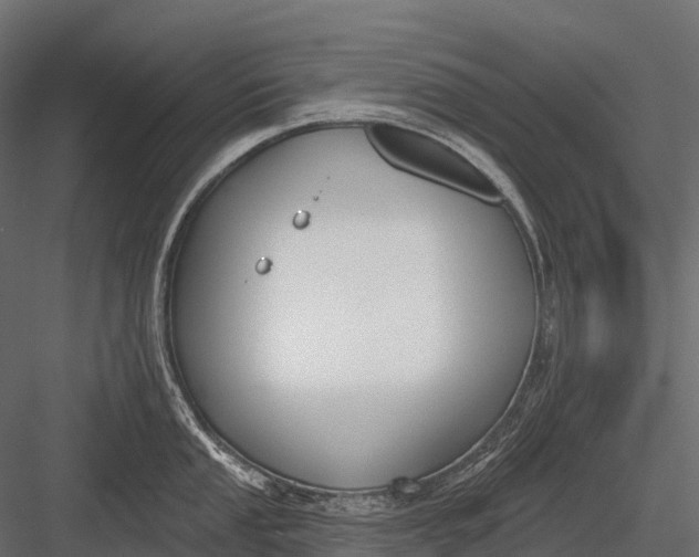 X0000083531053200702240013