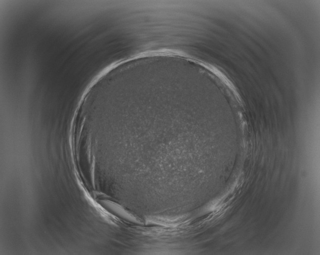 X0000083531054200702240013