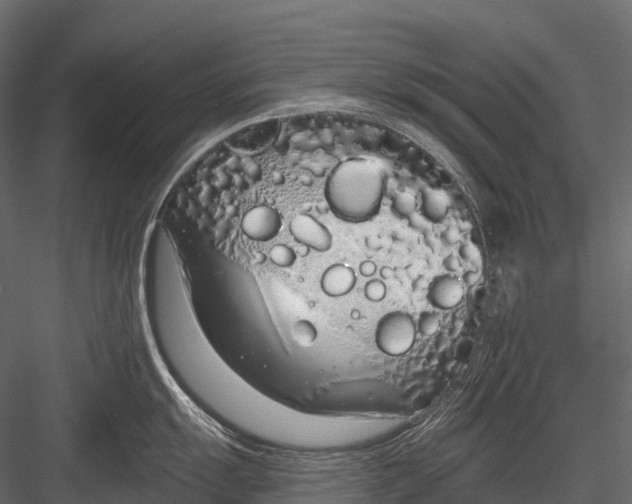 X0000083531055200702240013