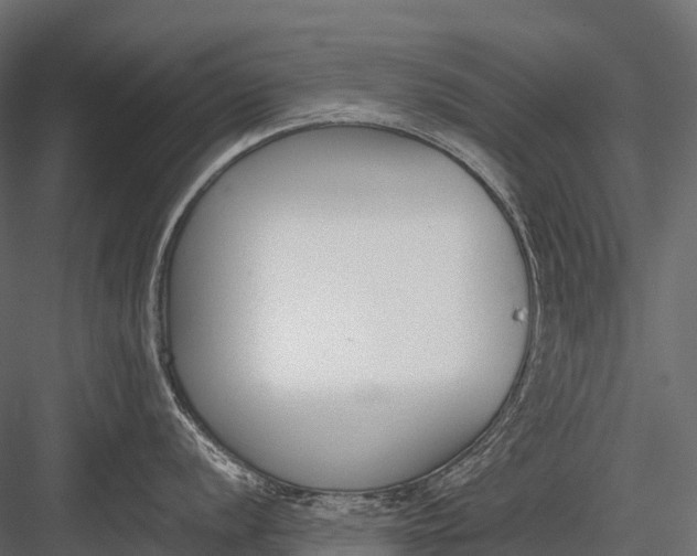 X0000083531056200702240013