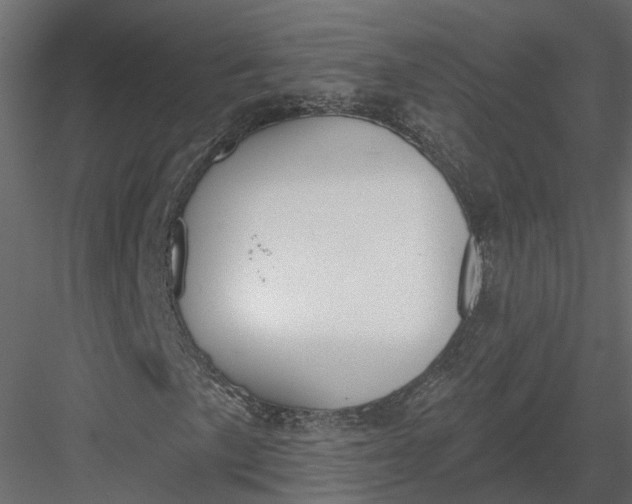 X0000083531057200702240012