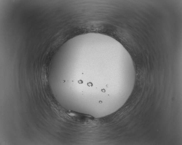 X0000083531058200702240012