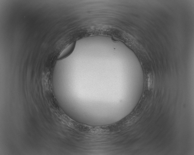 X0000083531059200702240012