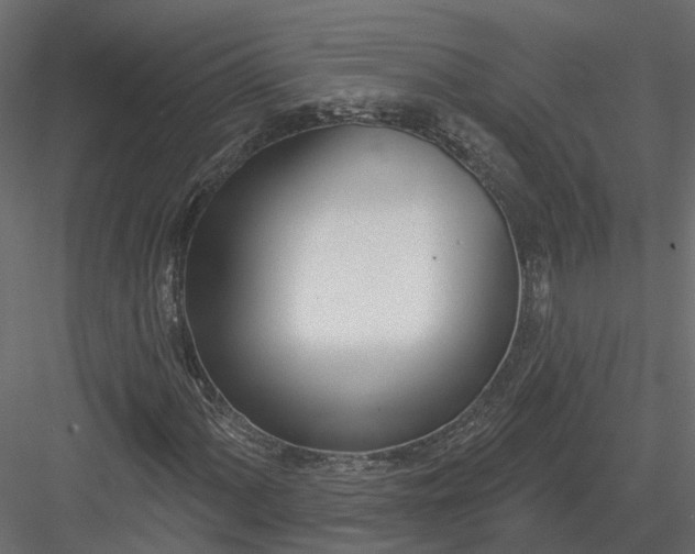 X0000083531060200702240012