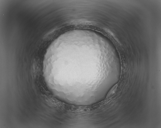 X0000083531063200702240012