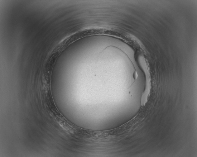 X0000083531064200702240012