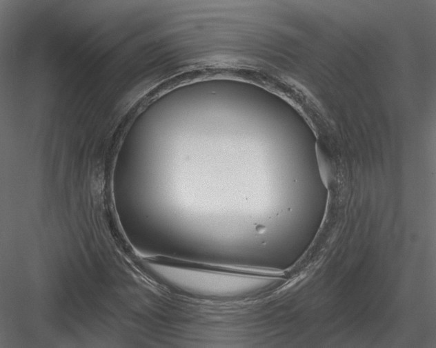 X0000083531065200702240012