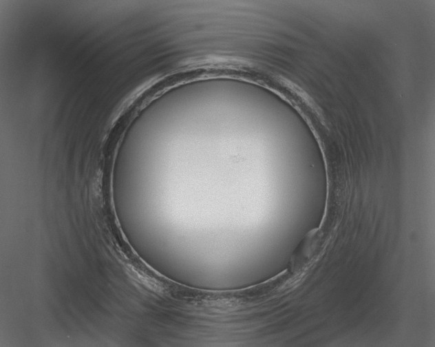 X0000083531066200702240012