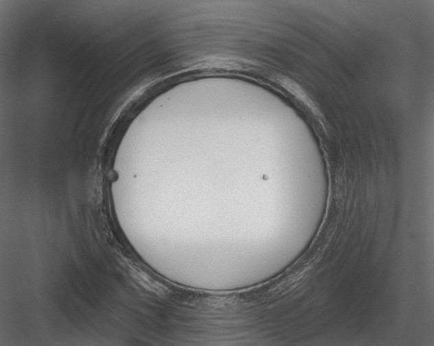 X0000083531067200702240012