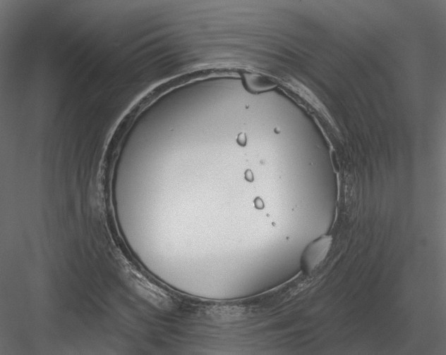 X0000083531068200702240012