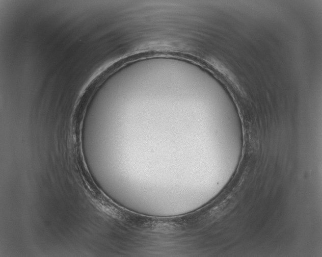 X0000083531070200702240012