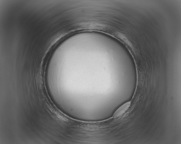 X0000083531071200702240012