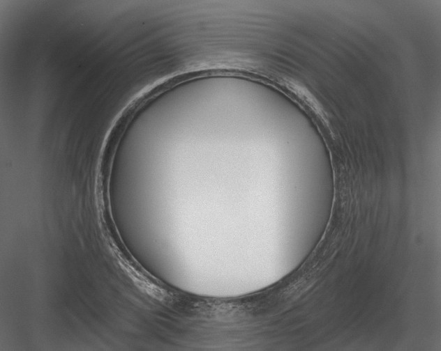 X0000083531072200702240012