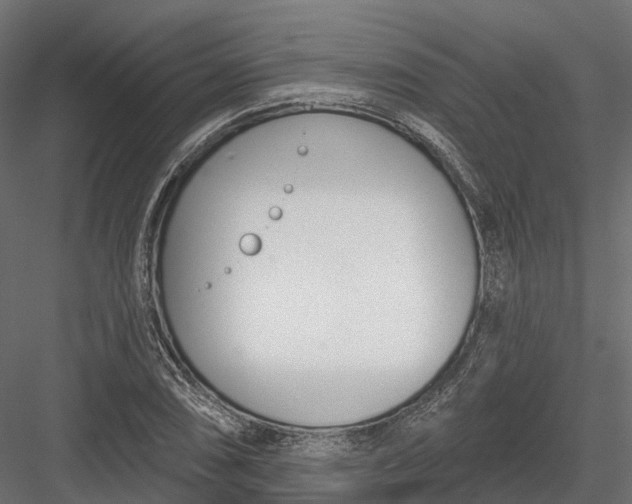 X0000083531074200702240012