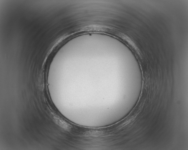 X0000083531075200702240012