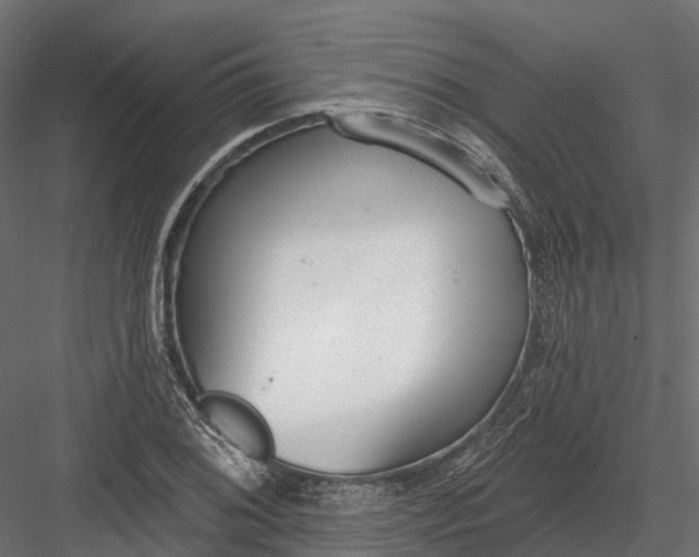 X0000083531076200702240012