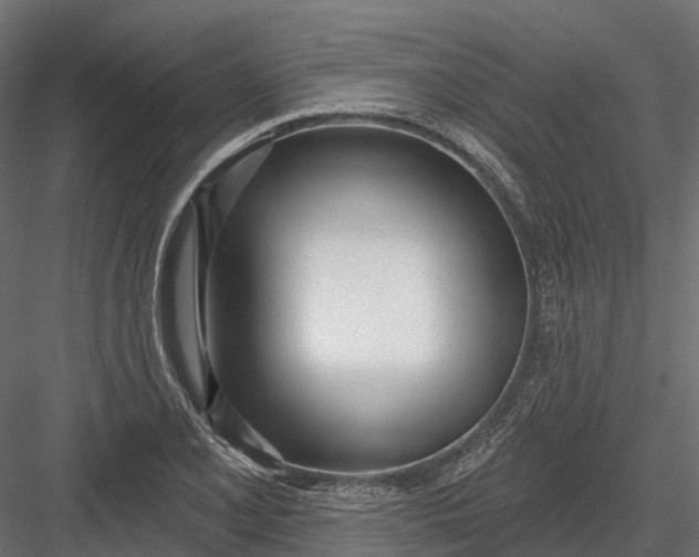 X0000083531077200702240012