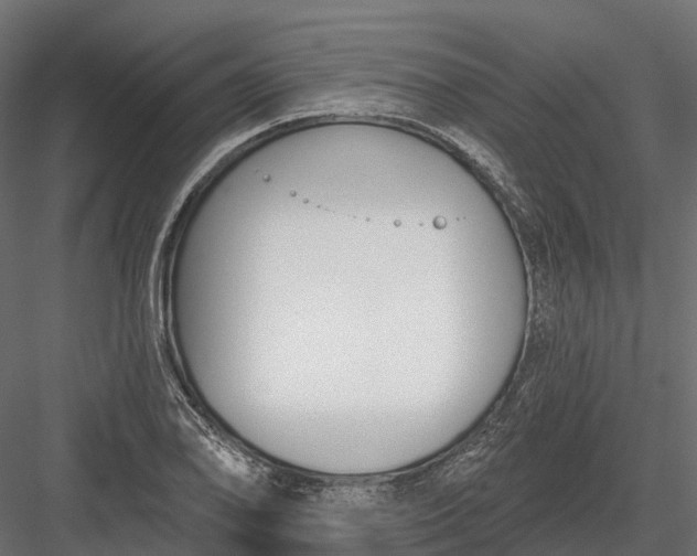 X0000083531078200702240012