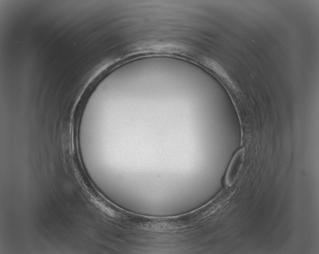 X0000083531079200702240012