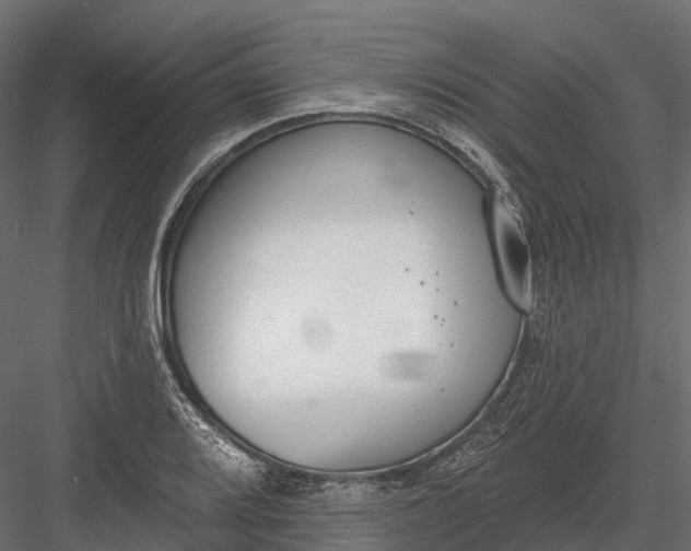 X0000083531080200702240012