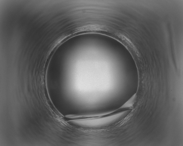 X0000083531081200702240012