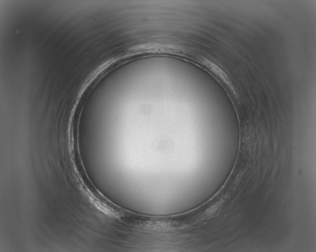 X0000083531082200702240012