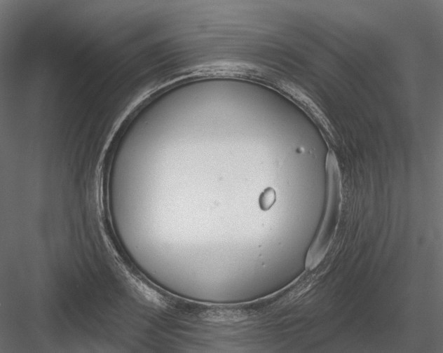 X0000083531083200702240012