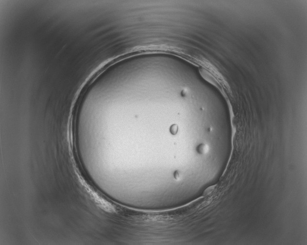 X0000083531084200702240012