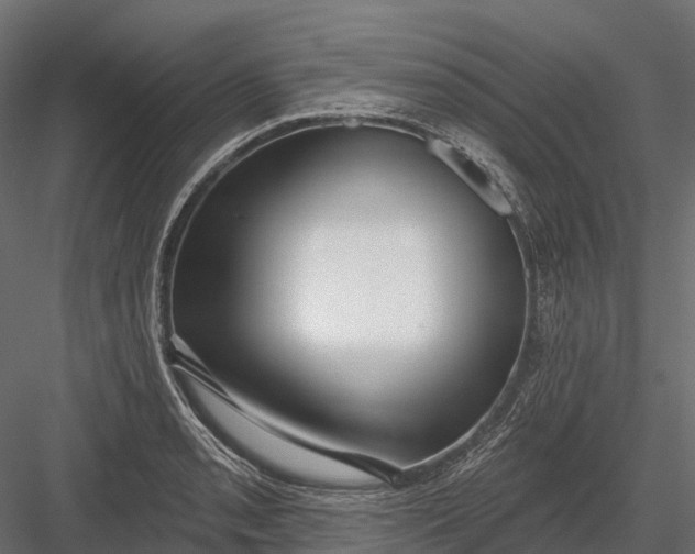 X0000083531085200702240012