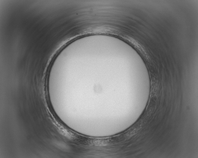 X0000083531086200702240012