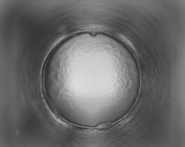 X0000083531087200702240012