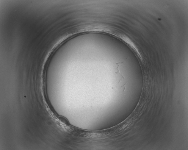 X0000083531088200702240012