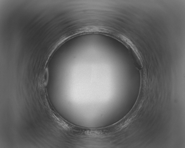 X0000083531089200702240012