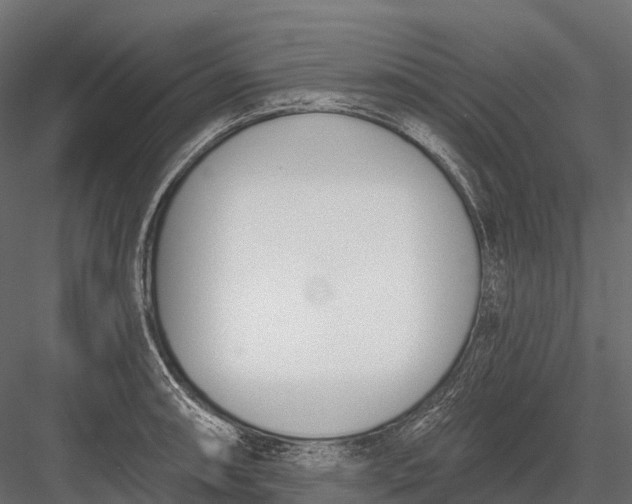 X0000083531090200702240012