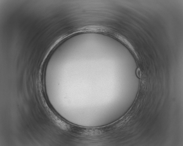 X0000083531091200702240012