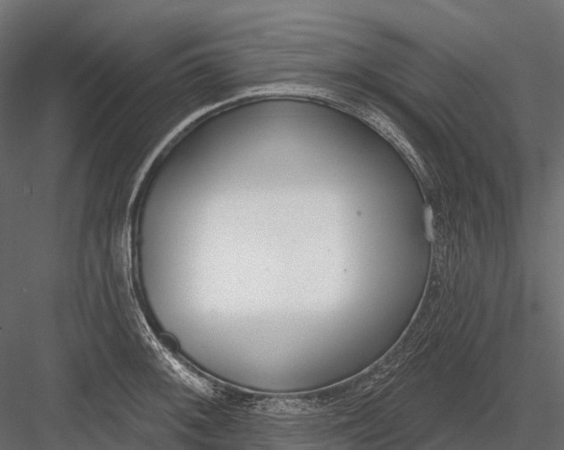 X0000083531092200702240012