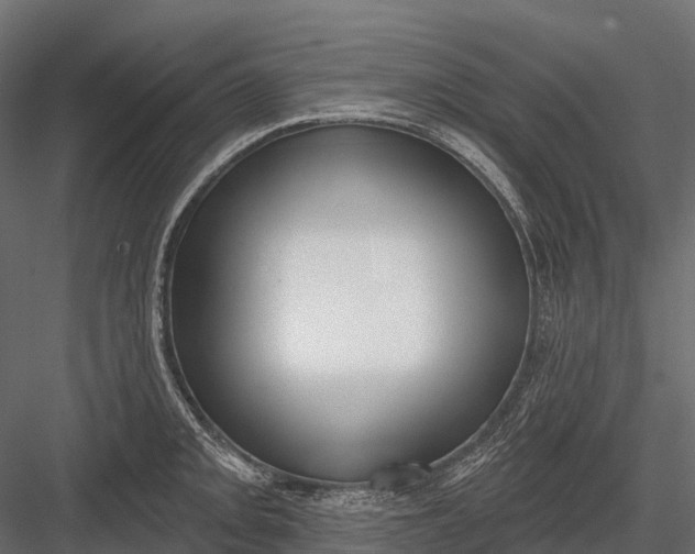 X0000083531093200702240012