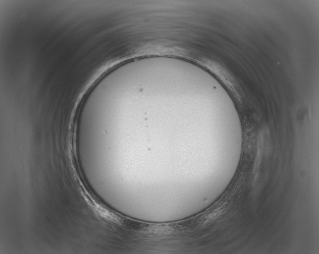 X0000083531094200702240011