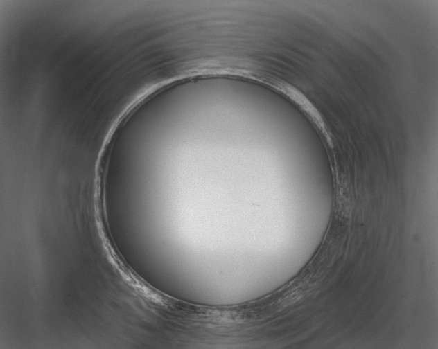 X0000083531096200702240011