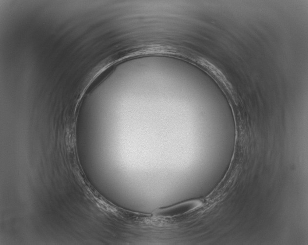 X0000083531097200702240011