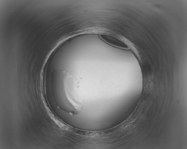 X0000083531099200702240011