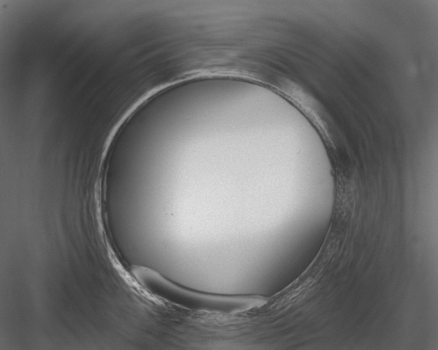 X0000083531100200702240011