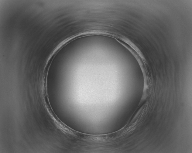 X0000083531101200702240011