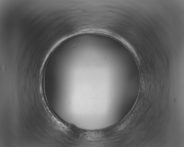 X0000083531102200702240011