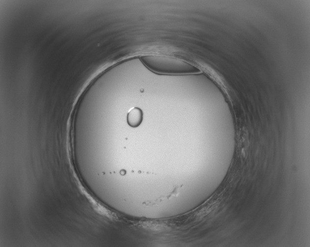 X0000083531103200702240011