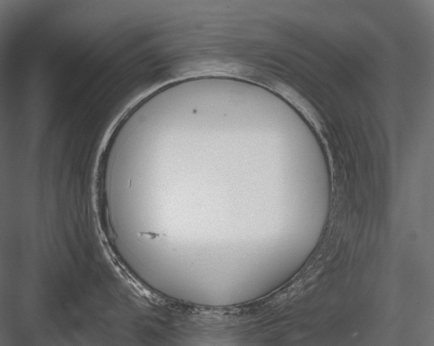 X0000083531104200702240011