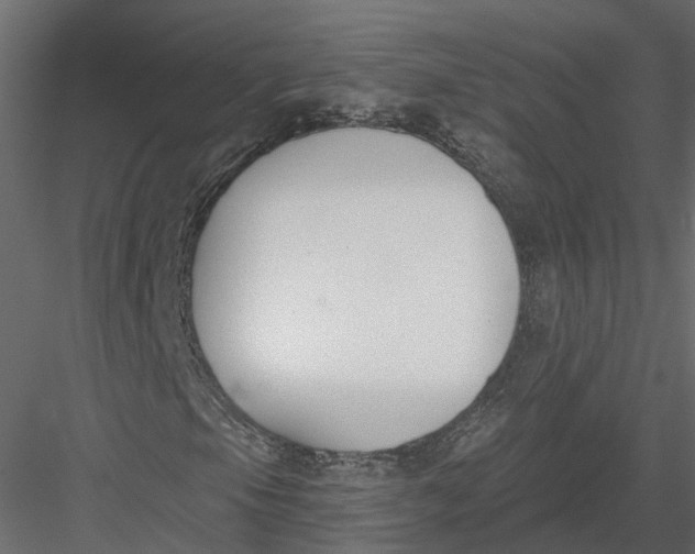 X0000083531105200702240010